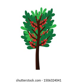 Vector illustration of tree and coffee sign. Set of tree and plant vector icon for stock.