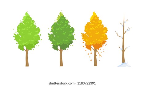 Vector illustration of tree in different seasons. Green in spring and summer, red in autumn, winter tree with snow in flat cartoon style on white background.