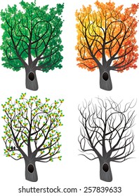 Vector illustration of tree during each of the four seasons