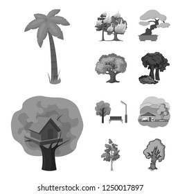 Vector illustration of tree  and forest icon. Collection of tree  and green stock vector illustration.