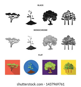 Vector illustration of tree and forest icon. Collection of tree and green vector icon for stock.