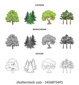 Vector illustration of tree and forest icon. Set of tree and green stock vector illustration.