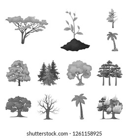 Vector illustration of tree  and forest logo. Set of tree  and green vector icon for stock.