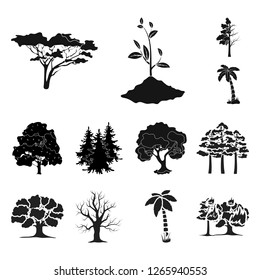 Vector illustration of tree  and forest logo. Collection of tree  and green vector icon for stock.