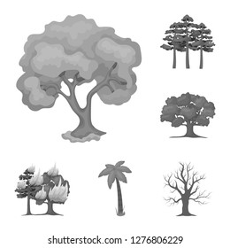 Vector illustration of tree  and forest logo. Collection of tree  and green stock symbol for web.