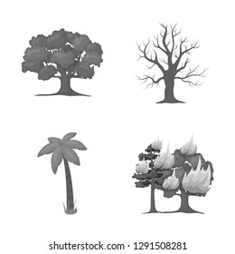 Vector illustration of tree  and forest logo. Collection of tree  and green stock vector illustration.