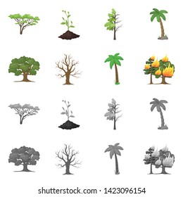 Vector illustration of tree  and forest logo. Collection of tree  and green stock symbol for web.