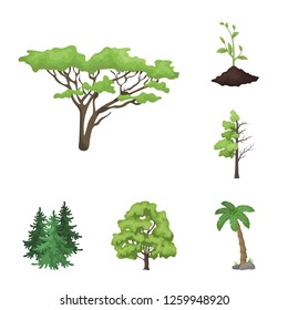 Vector illustration of tree  and forest sign. Set of tree  and green stock vector illustration.