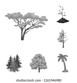 Vector illustration of tree  and forest sign. Set of tree  and green stock vector illustration.