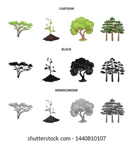 Vector illustration of tree and forest symbol. Collection of tree and green stock symbol for web.