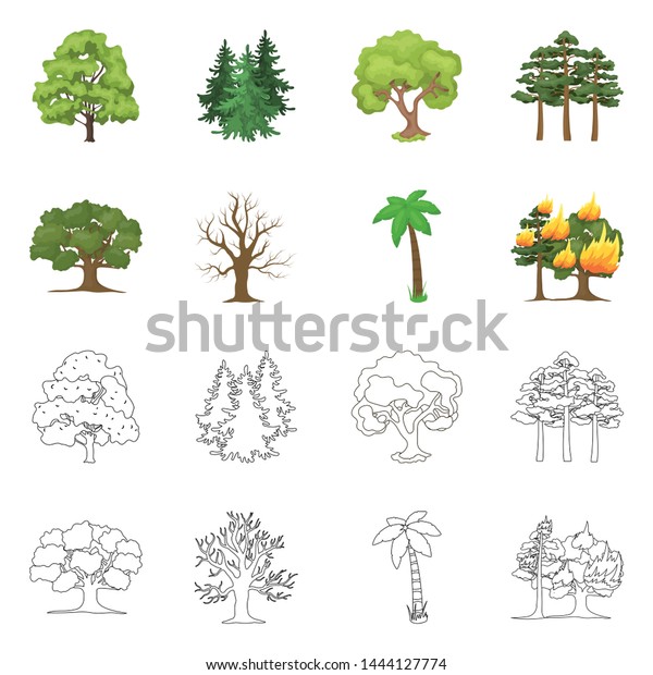 Vector Illustration Tree Forest Symbol Collection Stock Vector (Royalty ...