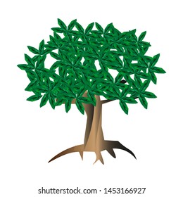 Vector illustration of a tree with fresh green leaves with a white background