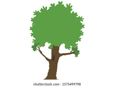 Vector Illustration of Tree.  Green Tree Clipart