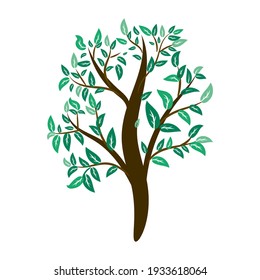 Vector illustration tree with green leaves. Silhouette on white background.