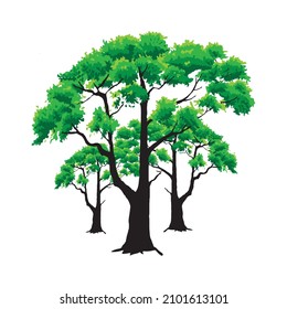 ilustración vectorial de un árbol con hojas verdes