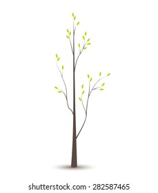 Vector illustration of a tree with green leaves