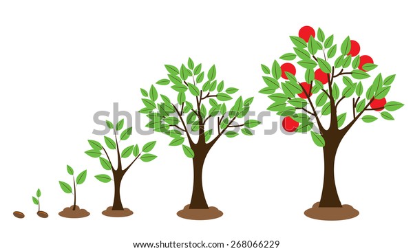 Vector Illustration Tree Growth Diagram Isolated Stock Vector Royalty Free