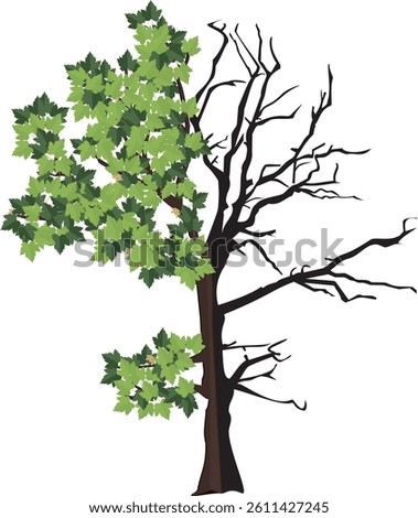 vector illustration of a tree half with leaves and half dead