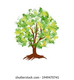 Vector illustration of tree isolated on white background