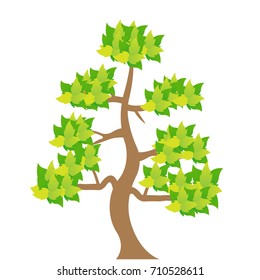 Vector illustration Tree isolated on a white background, 
