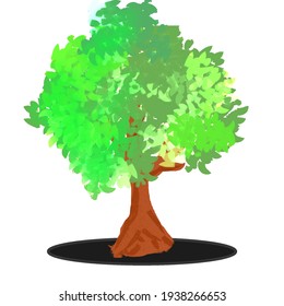 Vector illustration of tree with isolated white background