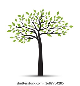 Vector illustration of a tree with leaves on a white background. Natural background