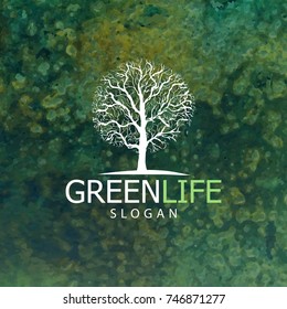 Vector illustration of tree logo or icon. Design template, badges, labels and logotype for business