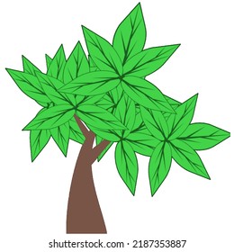 Ilustración vectorial de un árbol con hojas verdes exuberantes, fondo blanco, Indonesia.