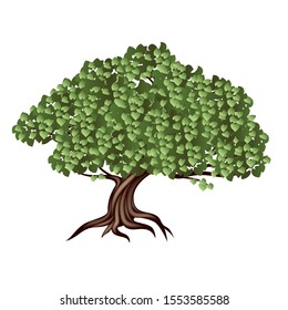 Vector illustration of a tree lush small-leaved 3d bark on the trunk, spreading, branchy with green leaves