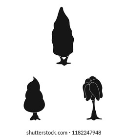 Vector illustration of tree and nature icon. Collection of tree and crown stock symbol for web.