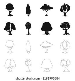 Vector illustration of tree and nature icon. Collection of tree and crown stock vector illustration.