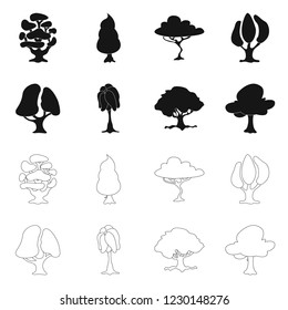 Vector illustration of tree and nature icon. Collection of tree and crown stock symbol for web.