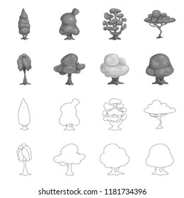 Vector illustration of tree and nature symbol. Set of tree and crown stock symbol for web.