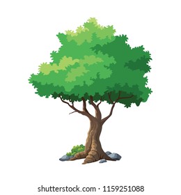 vector illustration for tree on white background