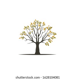 Vector illustration of tree on white background - Illustration