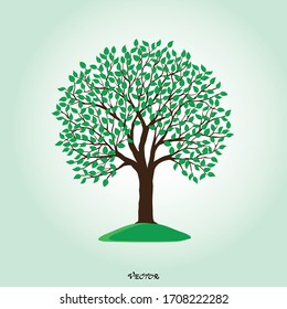 Ilustración vectorial del árbol sobre fondo blanco - Ilustración