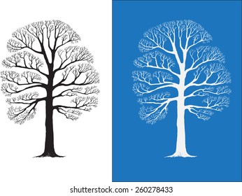 Vector illustration of the tree on the white and blue background
