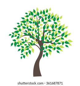 Vector illustration of tree on white background - Illustration