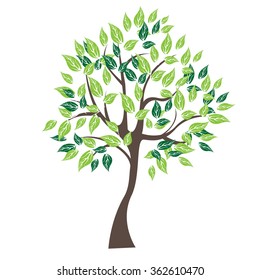 Vector illustration of tree on white background - Illustration