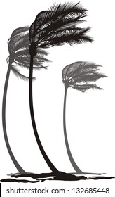 vector illustration of tree palms in the wind