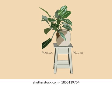 Vector Illustration of Tree in a Pot / Potted Plants / Houseplant