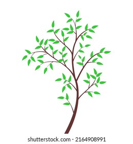 Vector illustration of tree with roots isolated on white background. editable clip art drawing