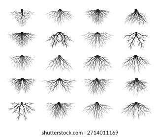 Vector illustration of a tree roots isolated on white background. Symbol of growth, stability, nature, sustainability and organic development. Suitable for environmental projects, education, eco brand