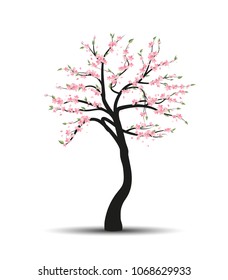 Vector illustration of a tree sakura. Natural background