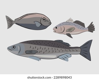 Vector illustration with tree sea fish. Gray and blue colors. Flat. For the menu design of fish restaurants, magazines, patterns.