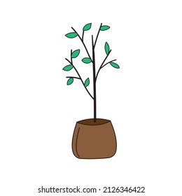 ilustración vectorial de una plántula de árbol en una bolsa