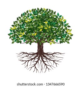 Vector illustration of a tree shape with roots and green leaves
