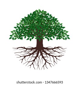 Vector illustration of a tree shape with roots and green leaves