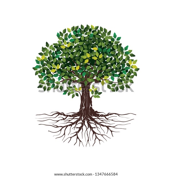 Vector Illustration Tree Shape Roots Green Stock Vector (Royalty Free ...