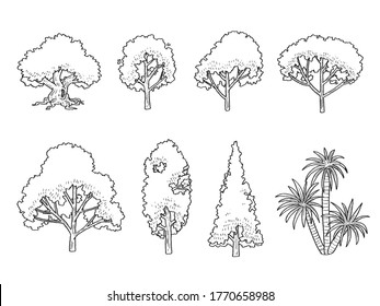 vector illustration of tree. side view tree hand drawn on white background.